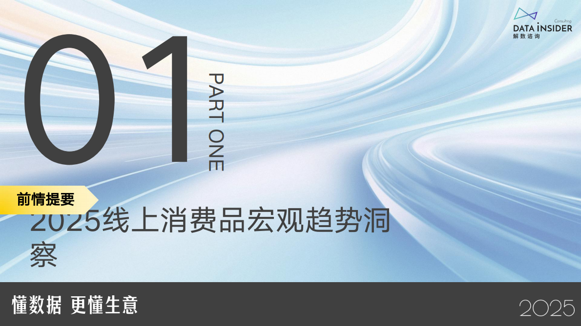 解数咨询：赢战2025：电商新趋势下的增⻓策略与案例拆解报告-第315期（试读版） 第3页