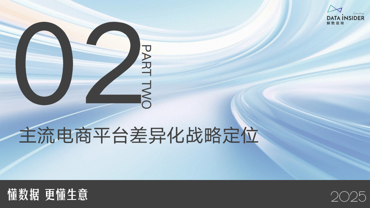 解数咨询：赢战2025：电商新趋势下的增⻓策略与案例拆解报告-第315期（试读版） 第6页