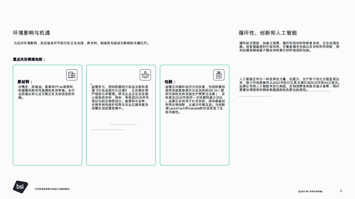 为可持续的美容化妆品行业奠定基础：将产品质量与环境和社会目标相结合 第6页