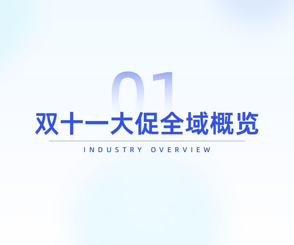 炼丹炉：2025年双十一大促线上销售数据复盘 第4页