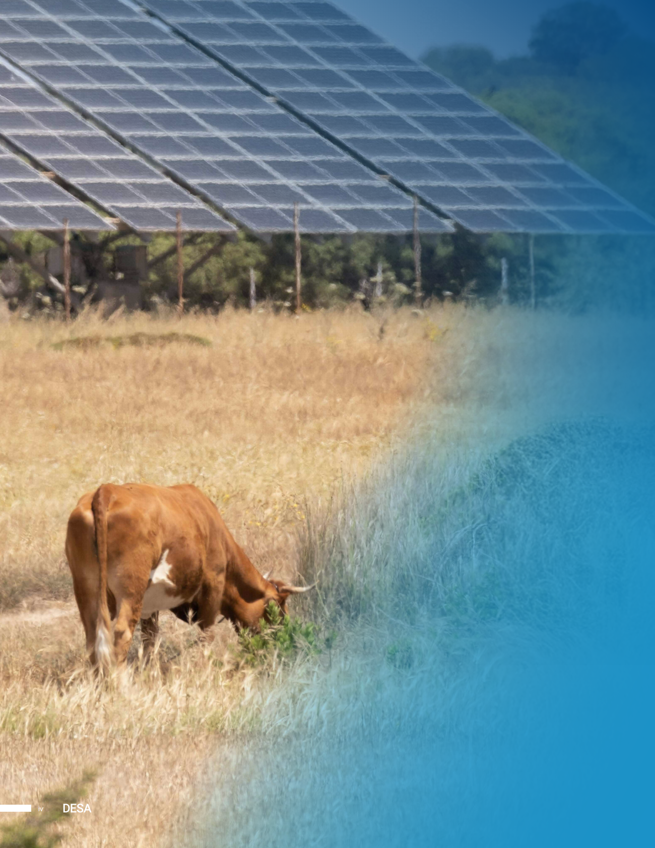 全球太阳能理事会（GSC）：2025年PV+及南南合作机遇：太阳能利用促进可持续发展报告 第6页