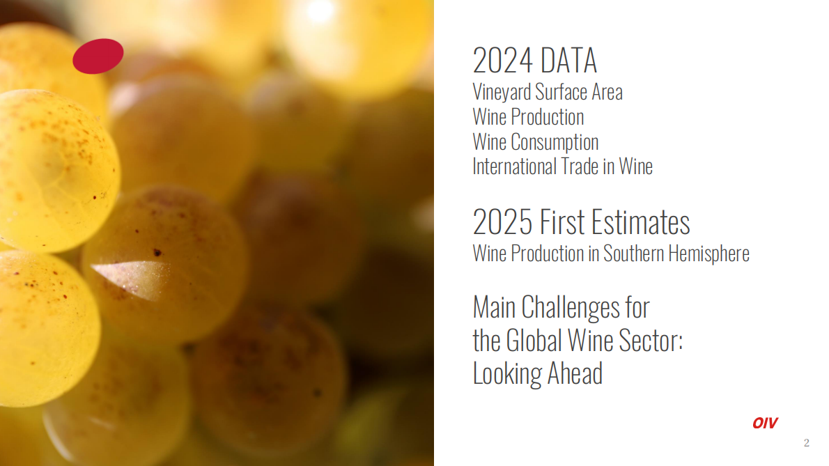 全球葡萄与葡萄酒产业现状：2024年度回顾与2025趋势展望（英文） 第2页