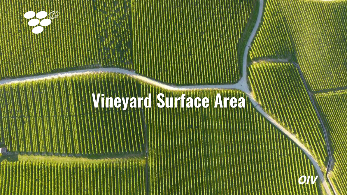 全球葡萄与葡萄酒产业现状：2024年度回顾与2025趋势展望（英文） 第3页