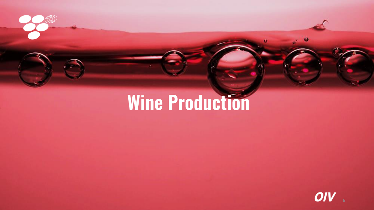 全球葡萄与葡萄酒产业现状：2024年度回顾与2025趋势展望（英文） 第6页