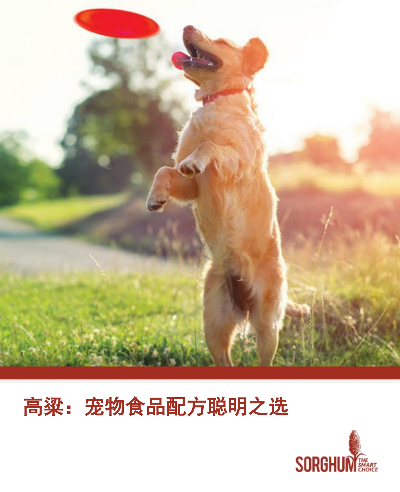 美国谷物协会：2025年高粱：宠物食品配方聪明之选研究报告 第1页