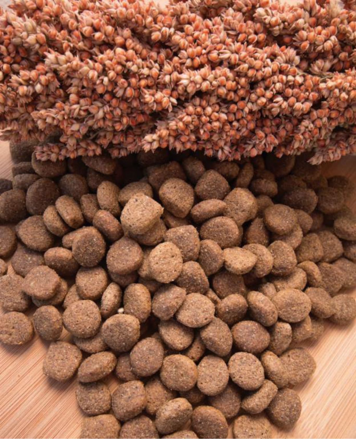 美国谷物协会：2025年高粱：宠物食品配方聪明之选研究报告 第2页