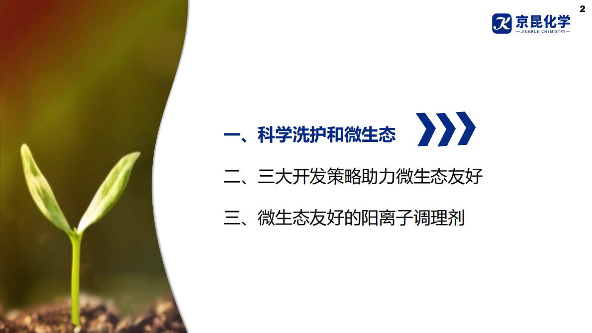 京昆化学：2025年科学洗护阳离子调理剂应用解决方案白皮书 第2页