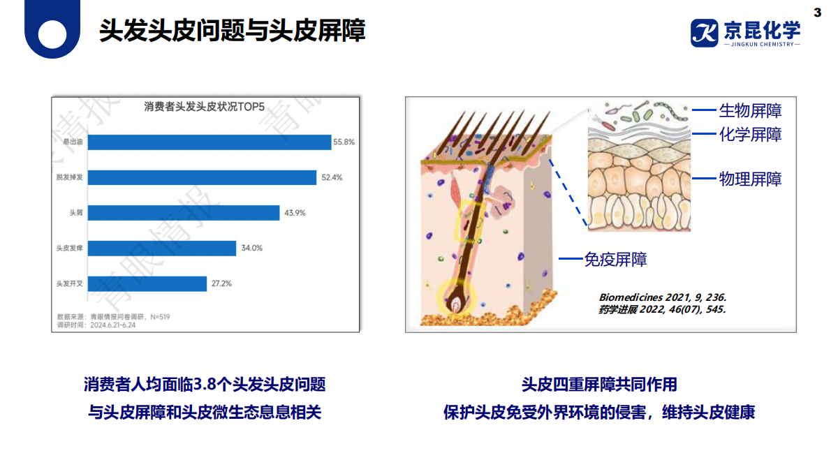 京昆化学：2025年科学洗护阳离子调理剂应用解决方案白皮书 第3页