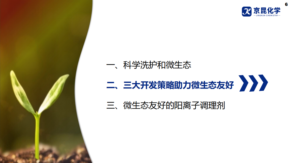 京昆化学：2025年科学洗护阳离子调理剂应用解决方案白皮书 第6页