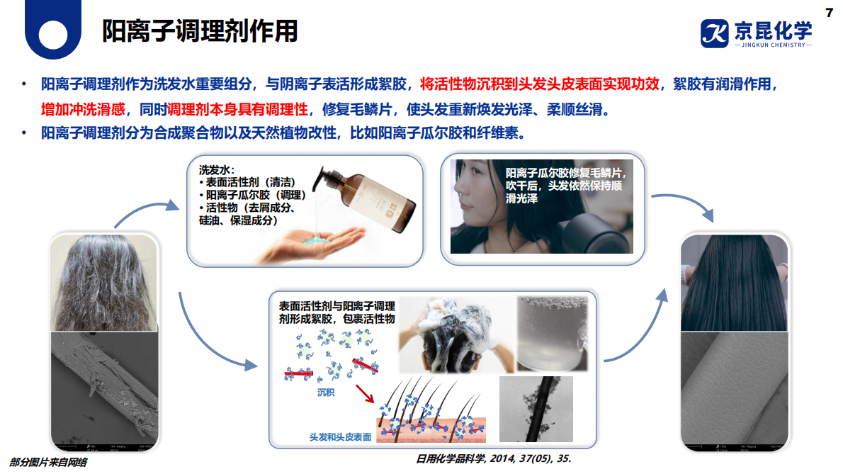 京昆化学：2025年科学洗护阳离子调理剂应用解决方案白皮书 第7页