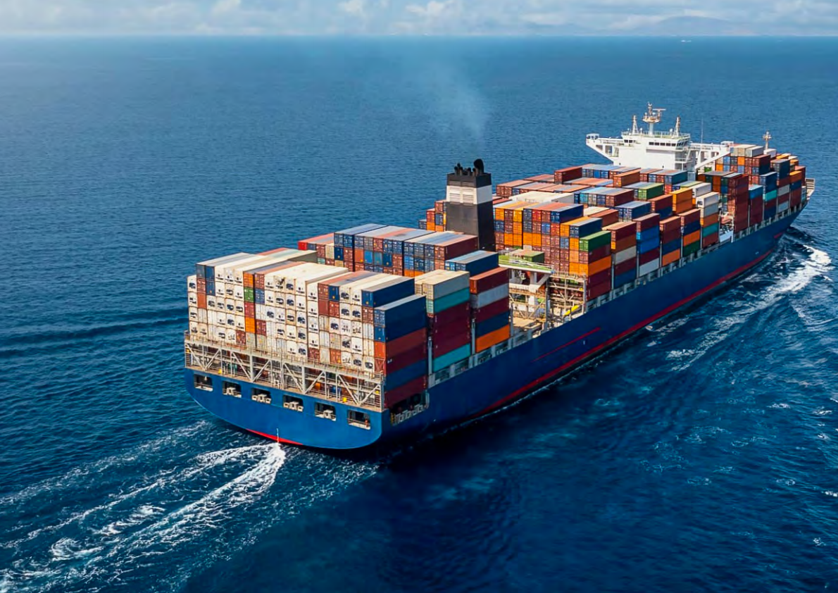 2025年牛肉报告 第8页