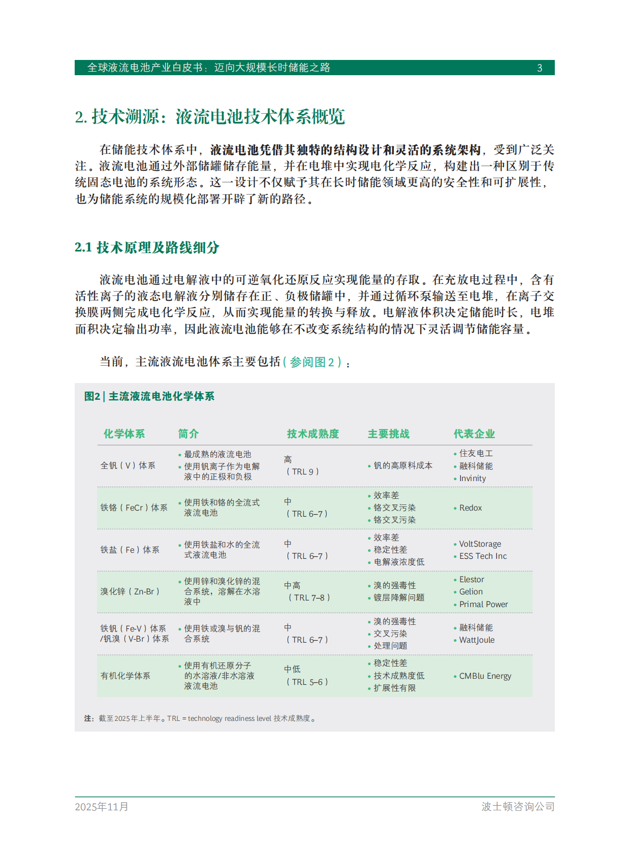 BCG波士顿咨询：2025年全球液流电池产业白皮书 第5页