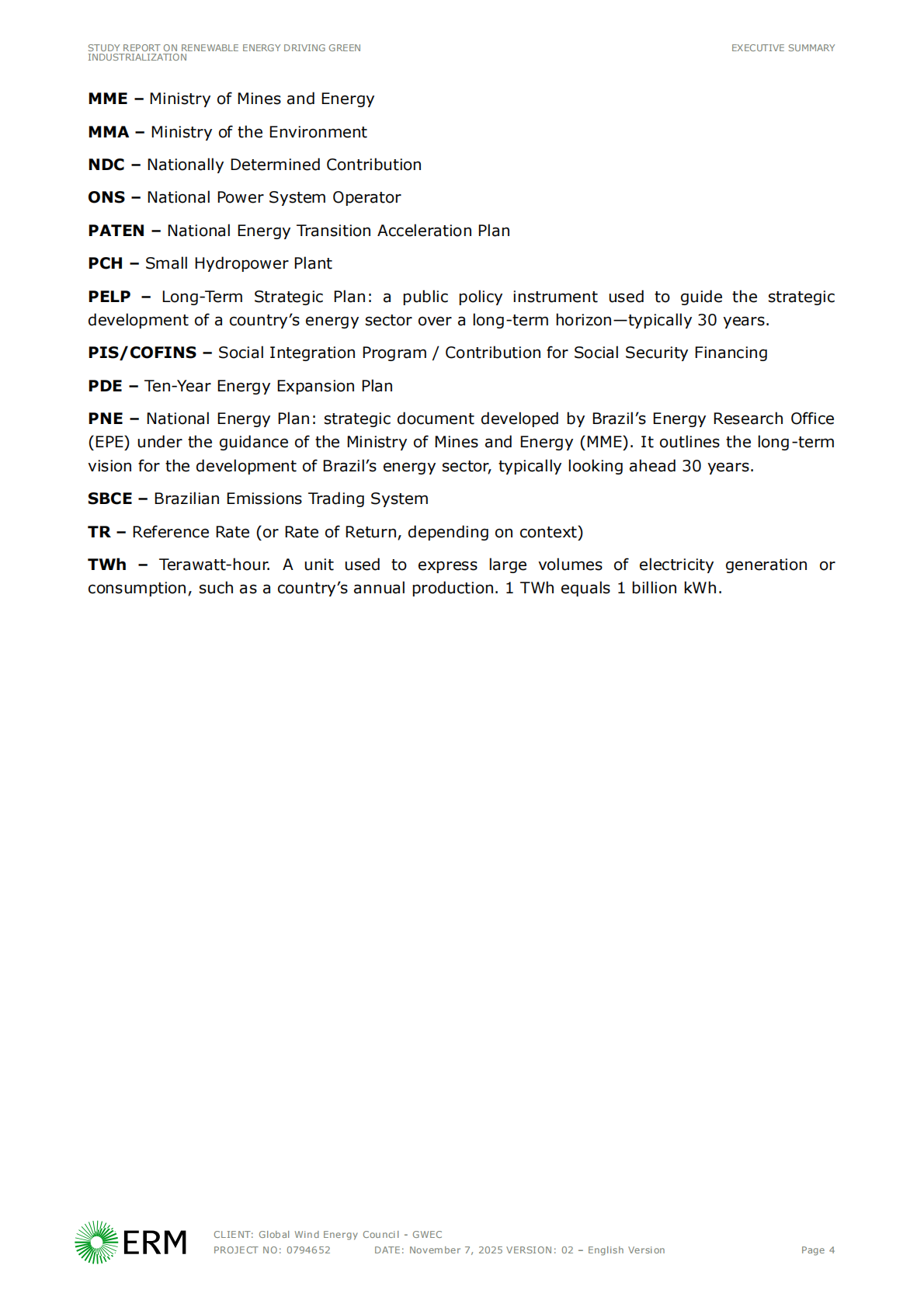 GWEC全球风能协会：2025年可再生能源推动绿色工业化报告（英文版） 第8页