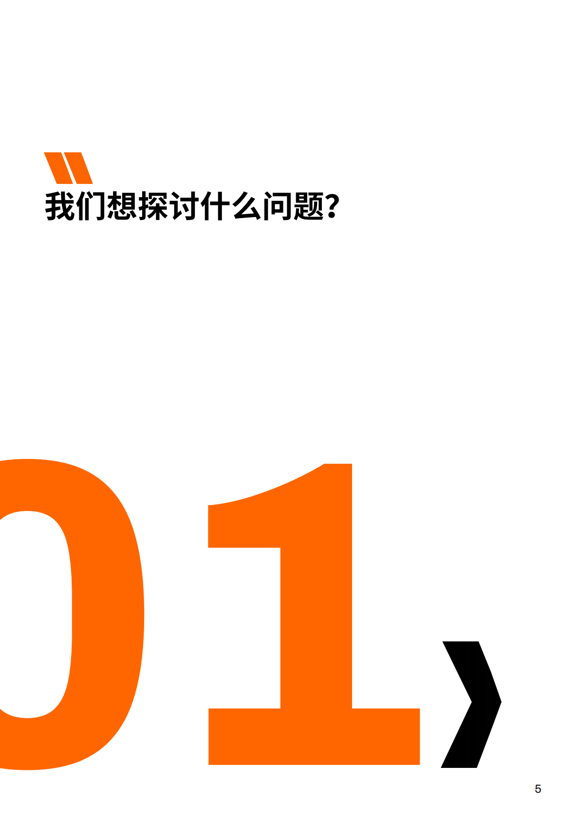 NEX：中国：基于乡村光伏扶贫、村集体入股风电、青年和女性赋能等案例研究 第5页