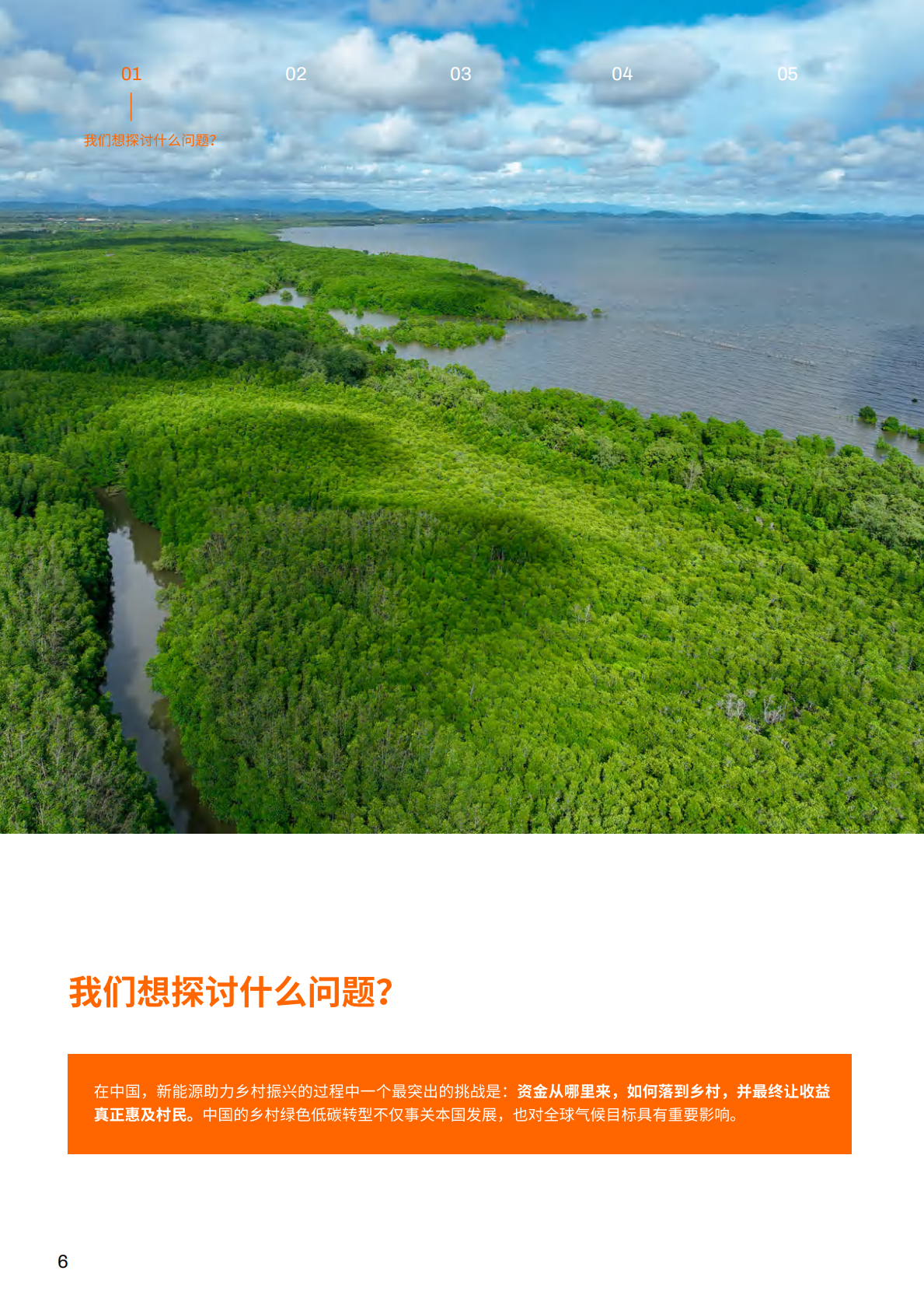 NEX：中国：基于乡村光伏扶贫、村集体入股风电、青年和女性赋能等案例研究 第6页