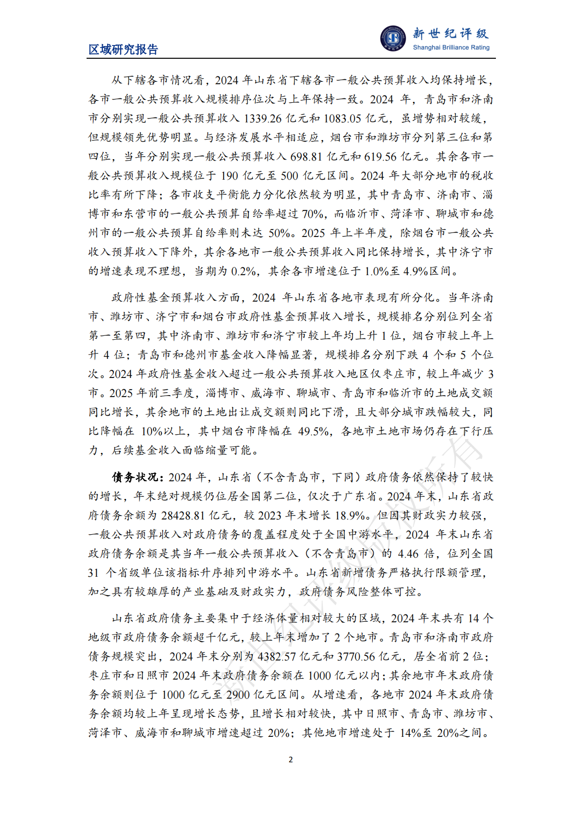 新世纪评级：山东省及下辖各市经济财政实力与债务研究（2025） 第2页
