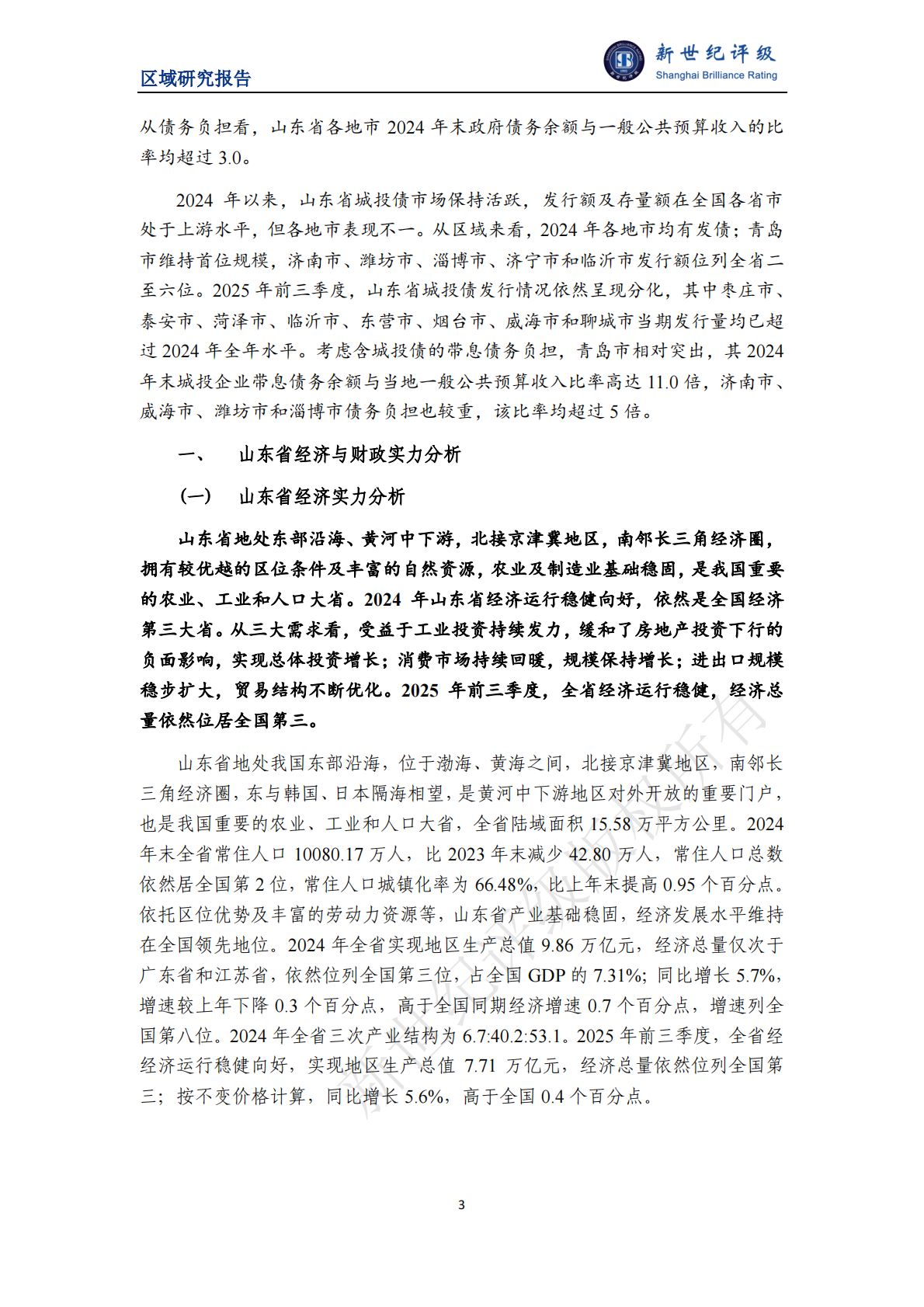 新世纪评级：山东省及下辖各市经济财政实力与债务研究（2025） 第3页