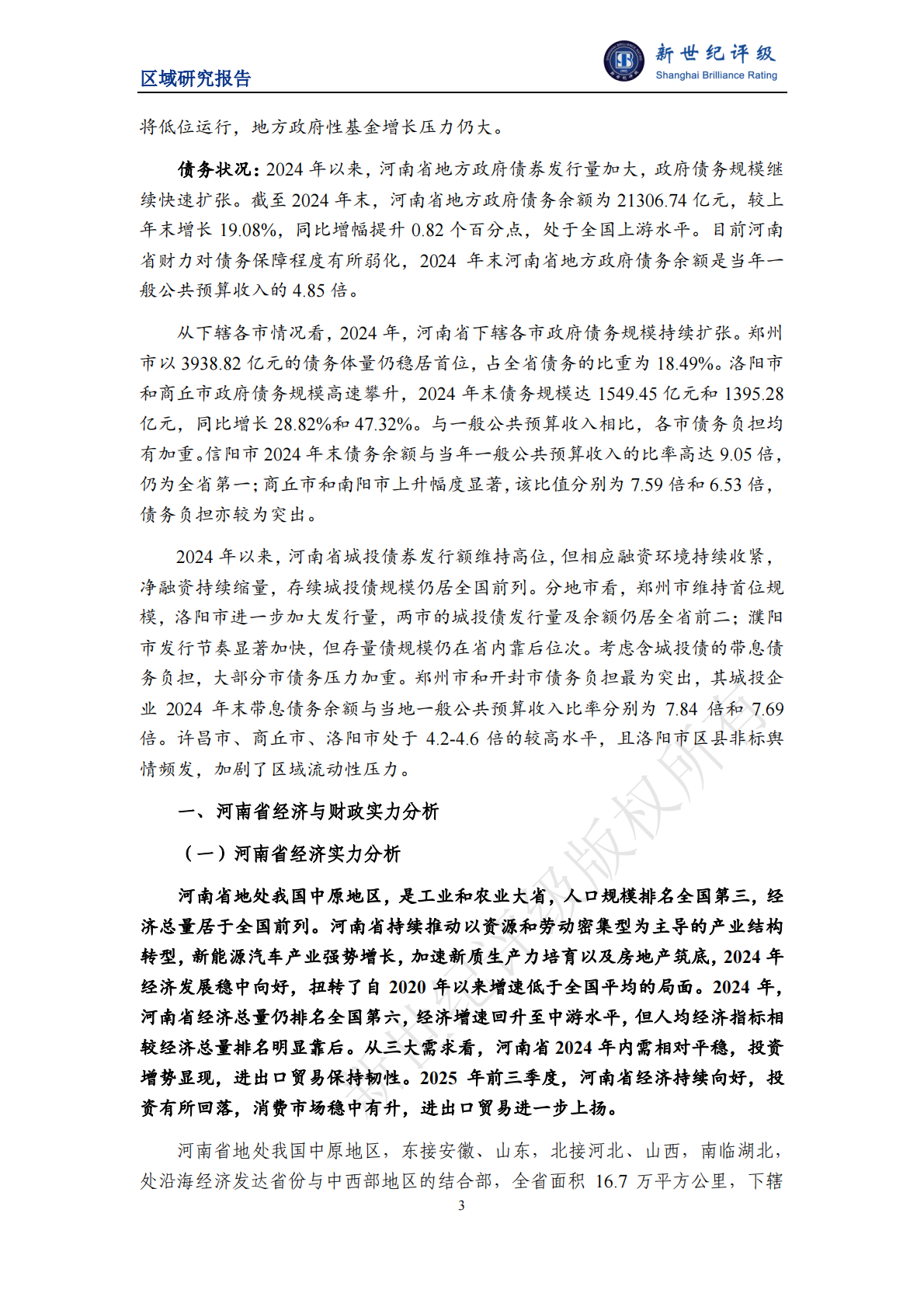 新世纪评级：河南省及下辖各市经济财政实力与债务研究（2025） 第3页