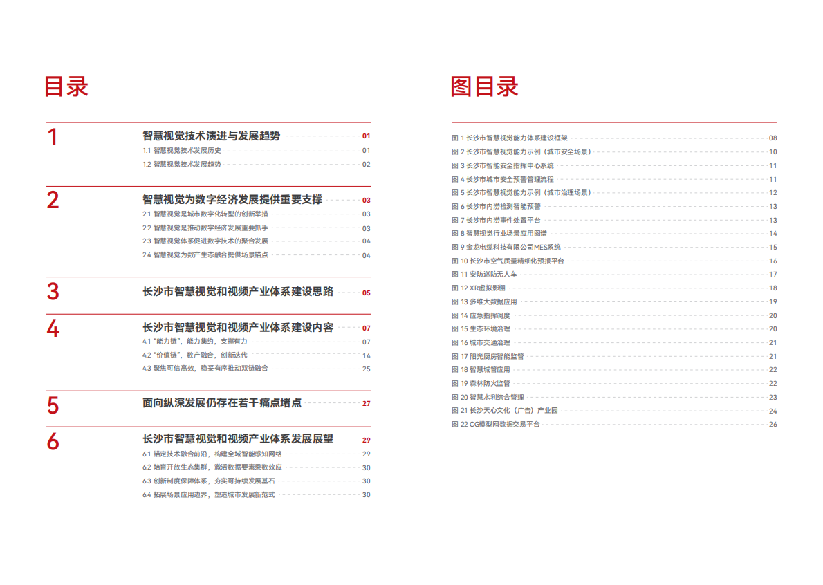 长沙市数据局：2025年长沙市智慧视觉体系和视频产业体系建设情况发展报告 第3页
