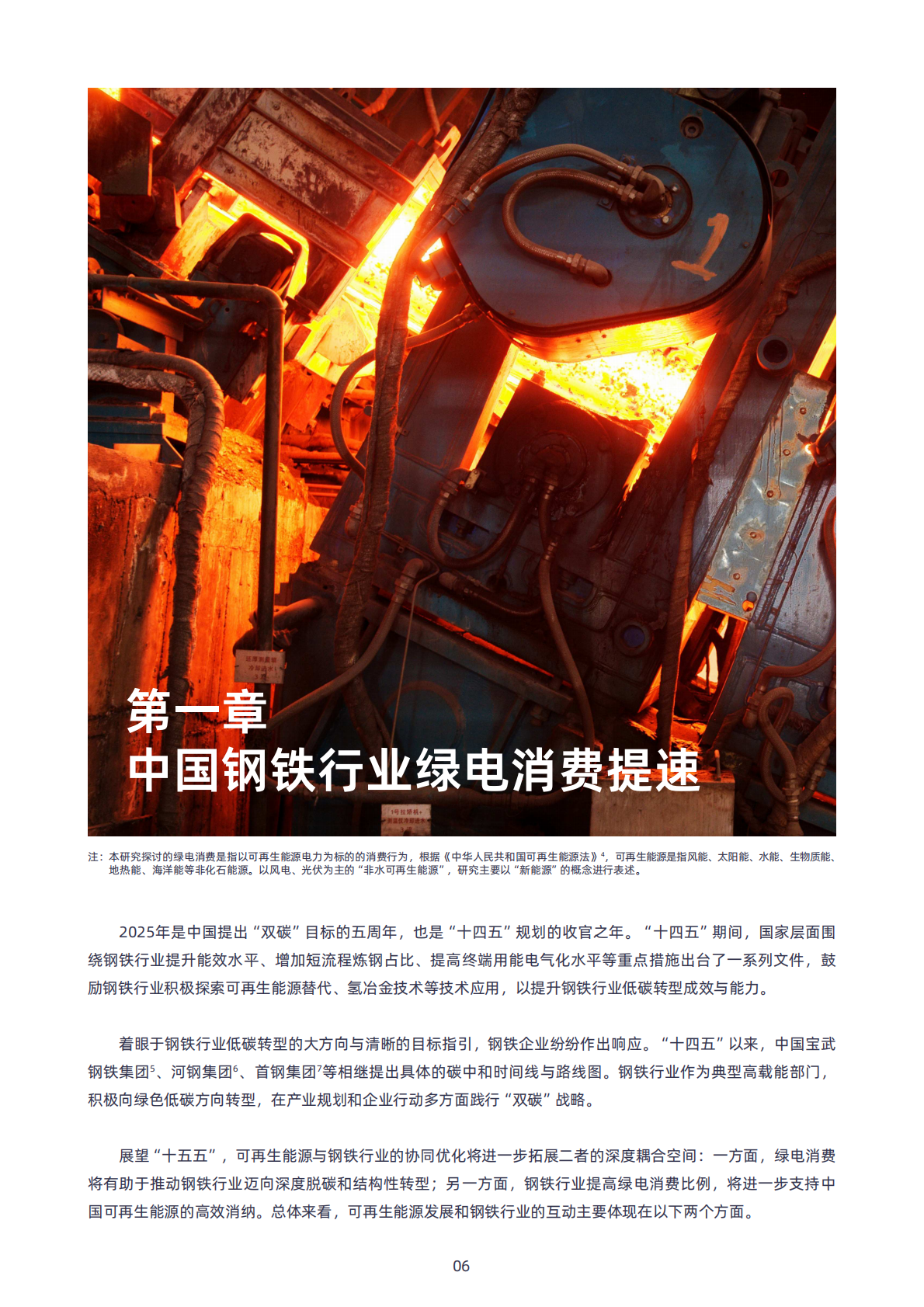 绿色和平清华大学四川能源互联网研究院：2025年中国钢铁行业绿电消费的进程、挑战与建议报告 第6页