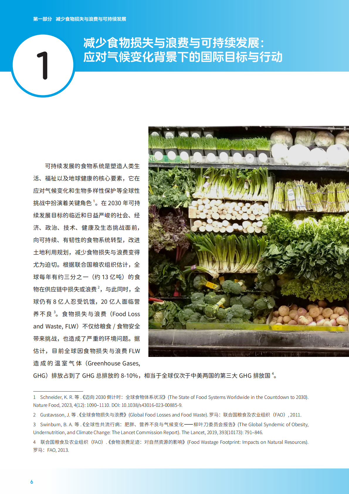 零售业供应链食物损失与浪费减量化分析及案例报告（2024-2025）-中国连锁经营协会 第6页