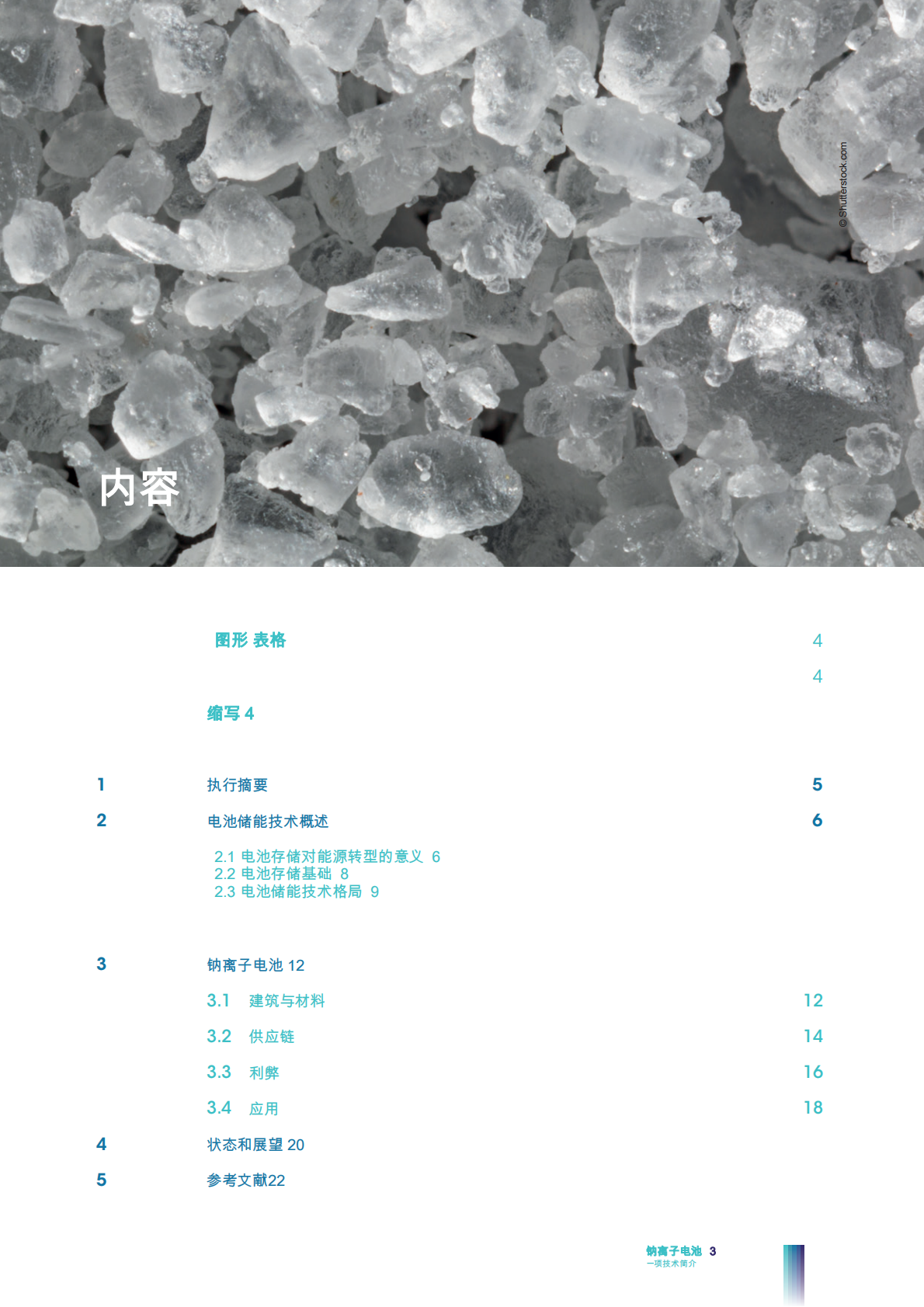 电池：一项技术简介 第3页