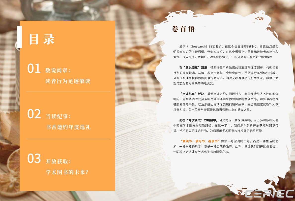 2024学术电子书阅读洞察报告 第2页