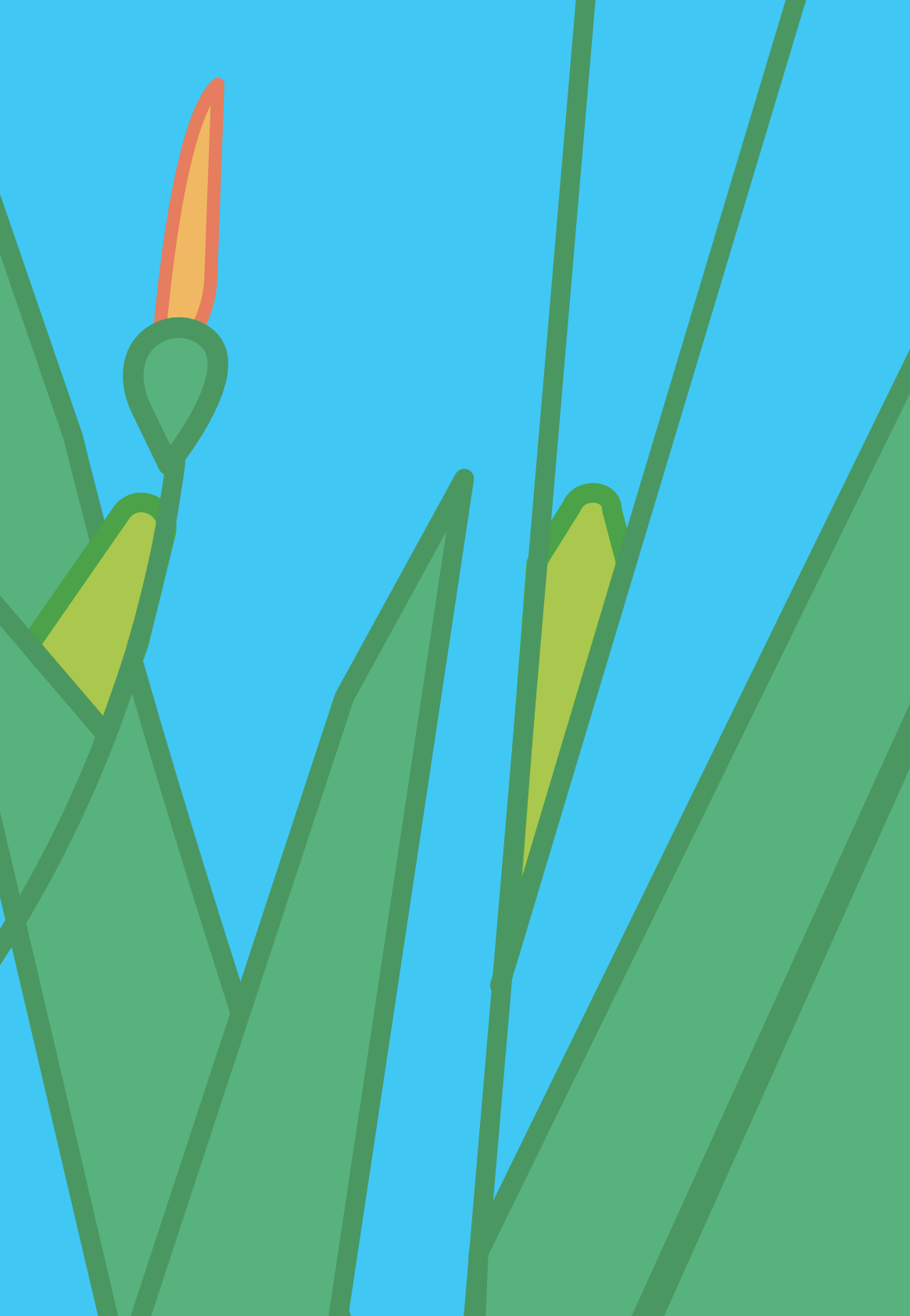 花迷会：&ldquo;蜜源植物在哪里&rdquo;城市绿地传粉网络公民科学年度报告（2024&ndash;2025） 第4页