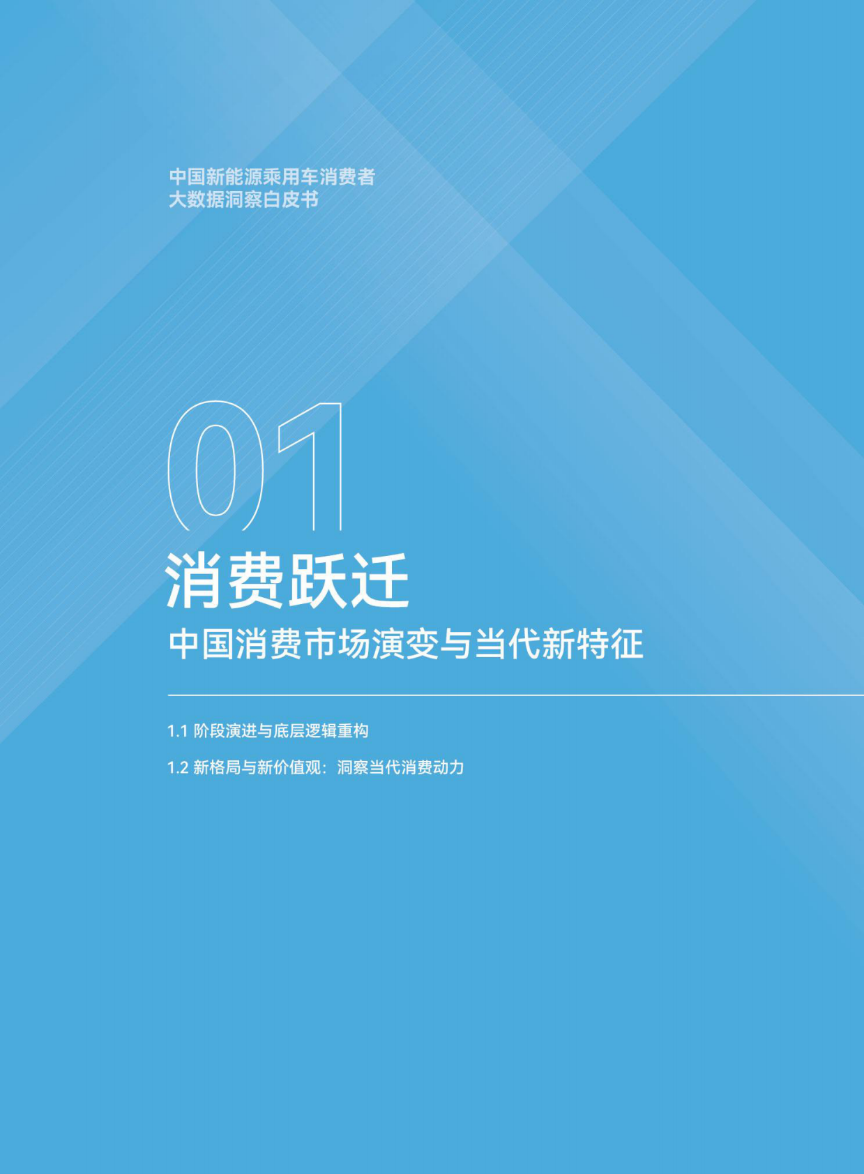 中汽中心：中国新能源乘用车消费者大数据洞察白皮书 第7页