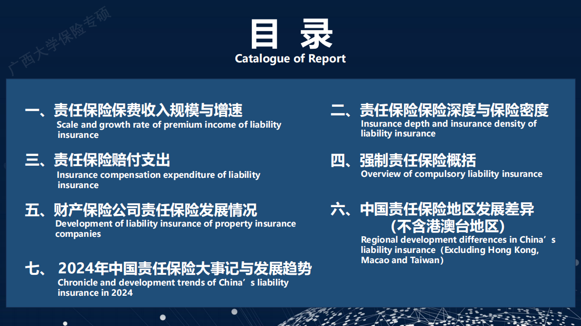 广西大学：2024年中国责任保险发展报告 第4页