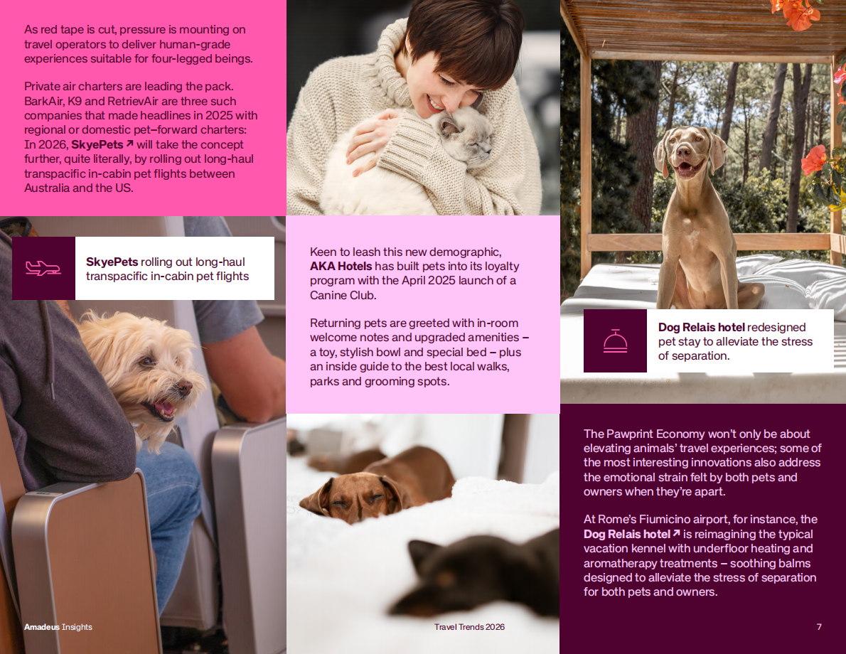 艾玛迪斯Amadeus&Globetrender：2026年全球六大旅游趋势报告（英文版） 第7页