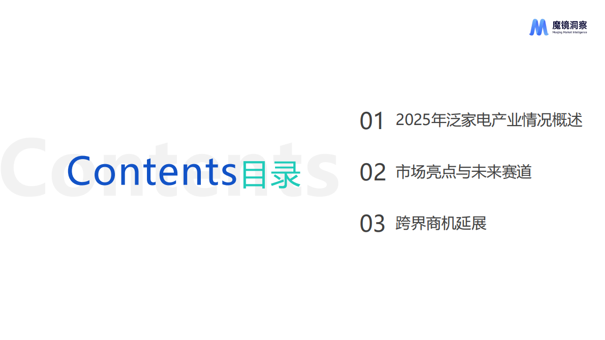 魔镜洞察：2025线上家电市场概览-2025商业风口未来商机洞察 第2页