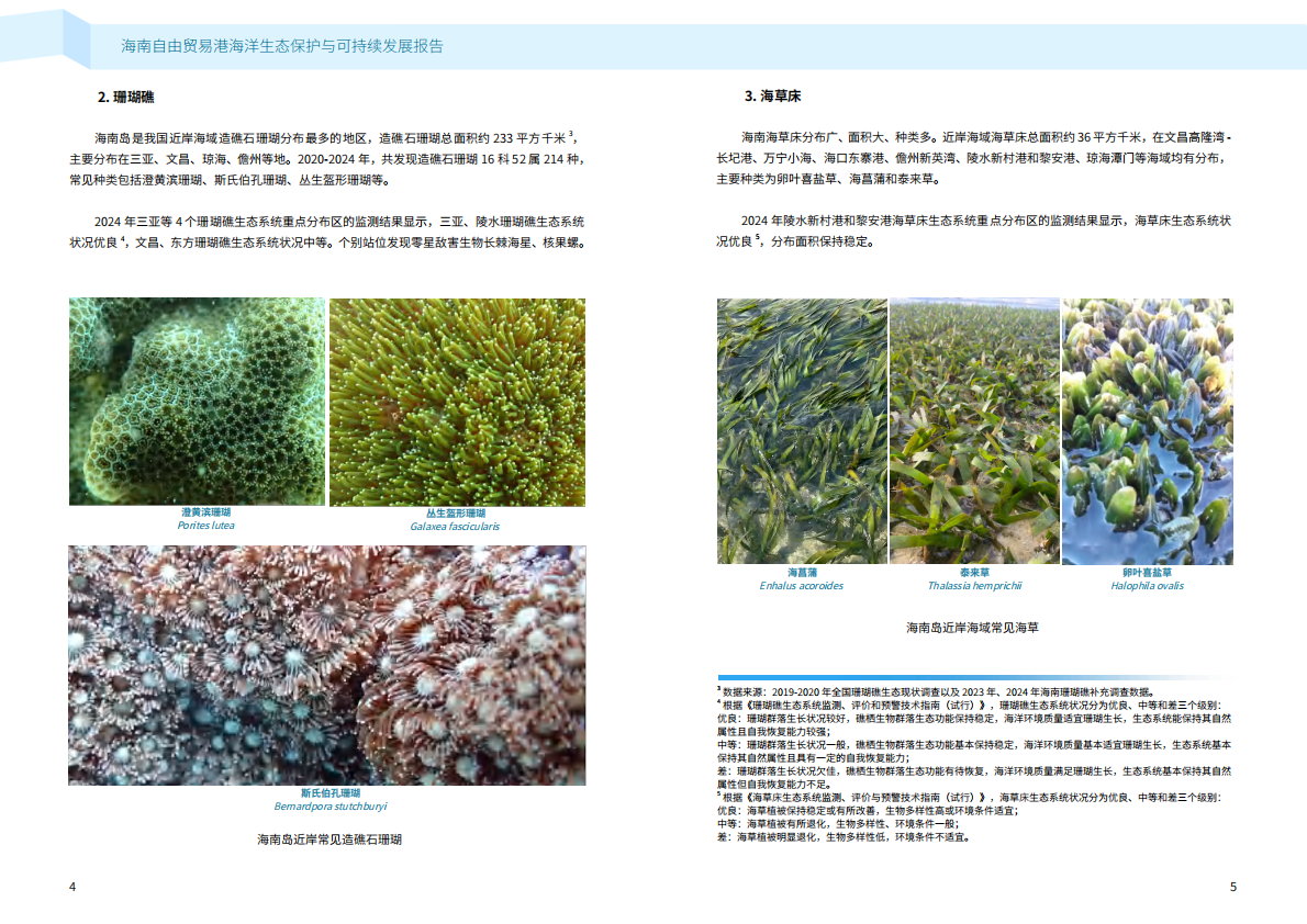 自然资源部海南局：2025年海南自由贸易港海洋生态保护与可持续发展报告 第5页
