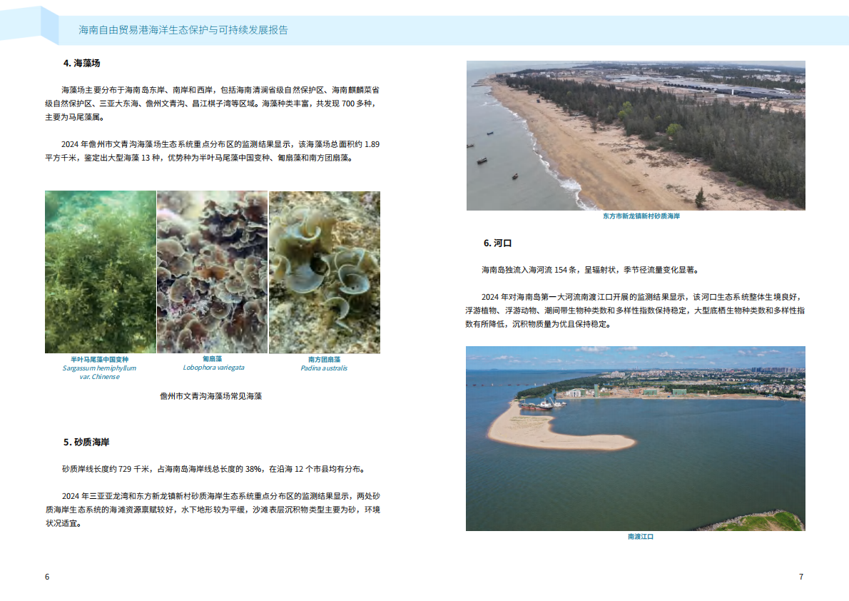 自然资源部海南局：2025年海南自由贸易港海洋生态保护与可持续发展报告 第6页