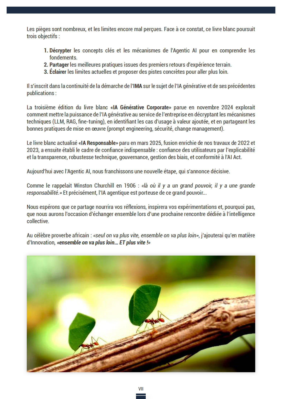 代理式人工智能：一线落地的初步实践与反馈（英文） 第7页