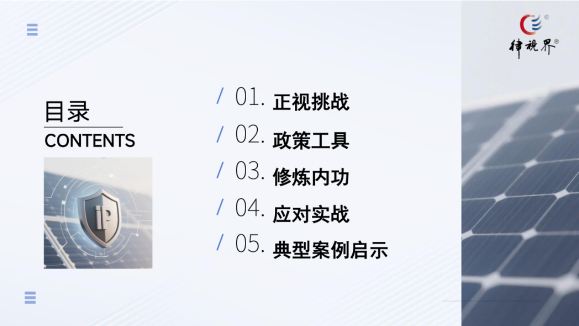 隆安律师事务所：光伏领域海外知识产权风险防范与纠纷应对 第2页