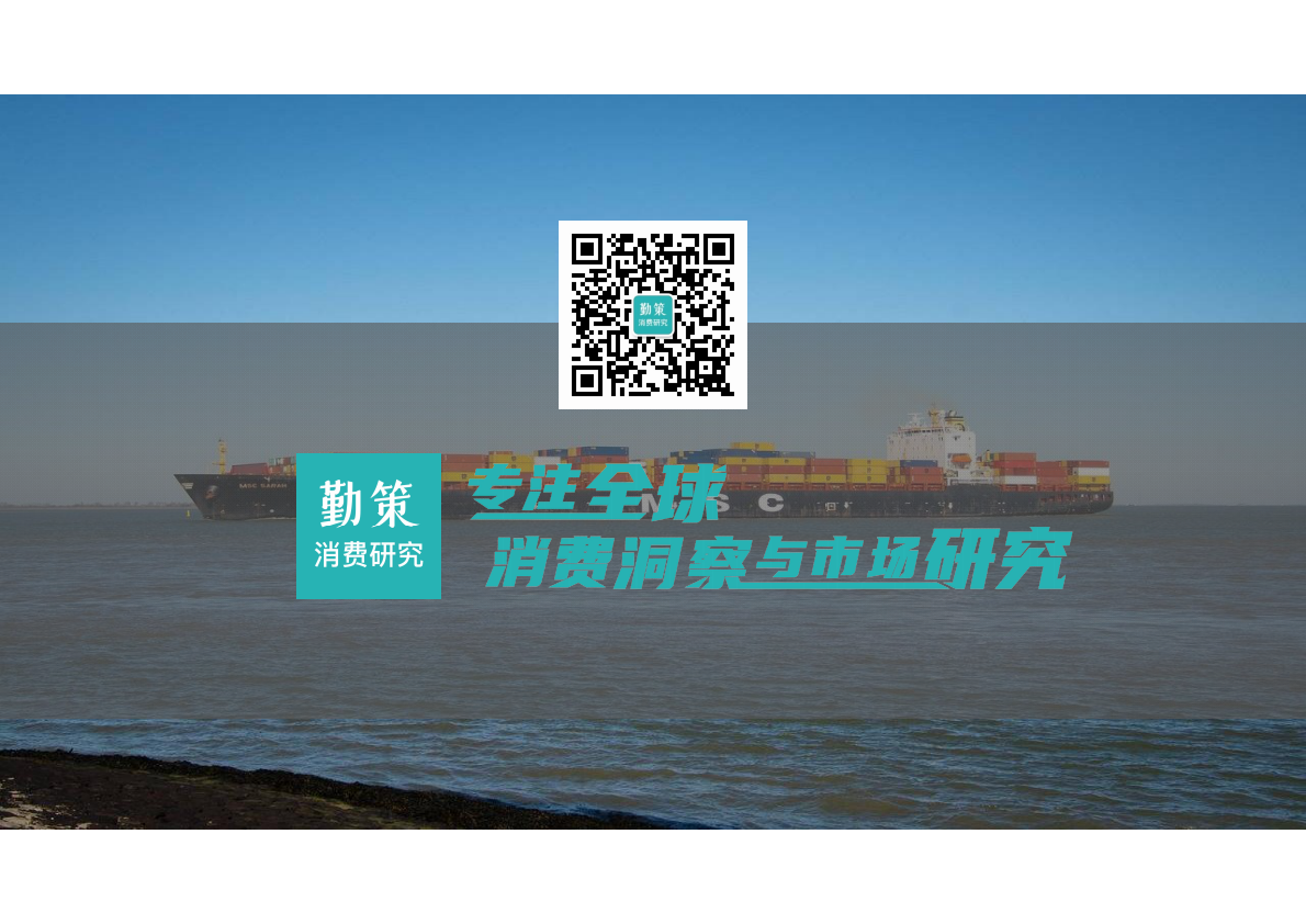 勤策：2025年中国跨境电商营销服务行业报告-全托管一站式营销服务兴起 第2页