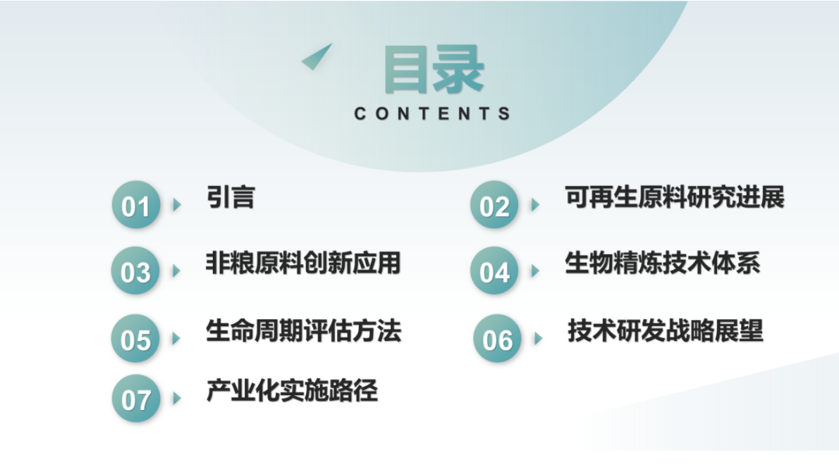 中国化工学会：未来可再生原料发展方向与技术研发策略 第2页