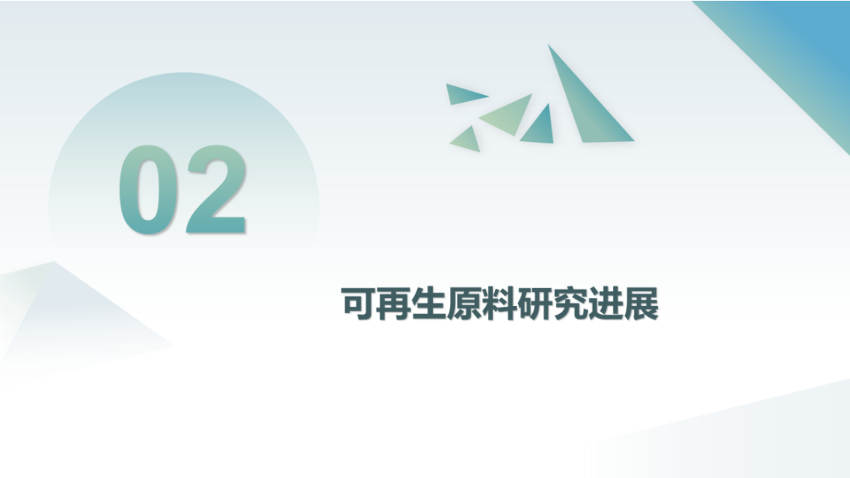 中国化工学会：未来可再生原料发展方向与技术研发策略 第7页