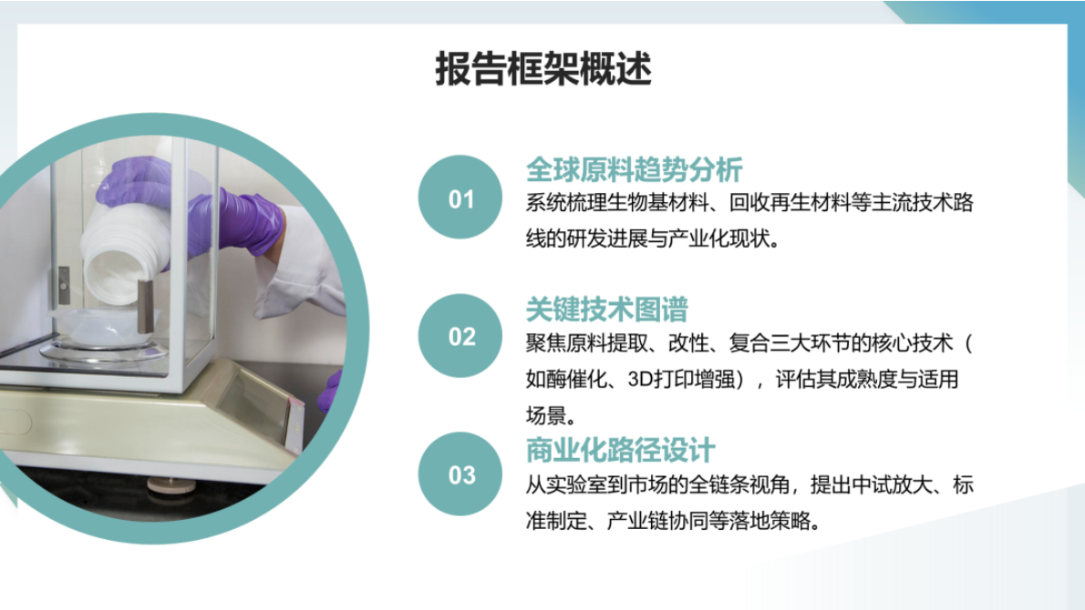 中国化工学会：未来可再生原料发展方向与技术研发策略 第6页
