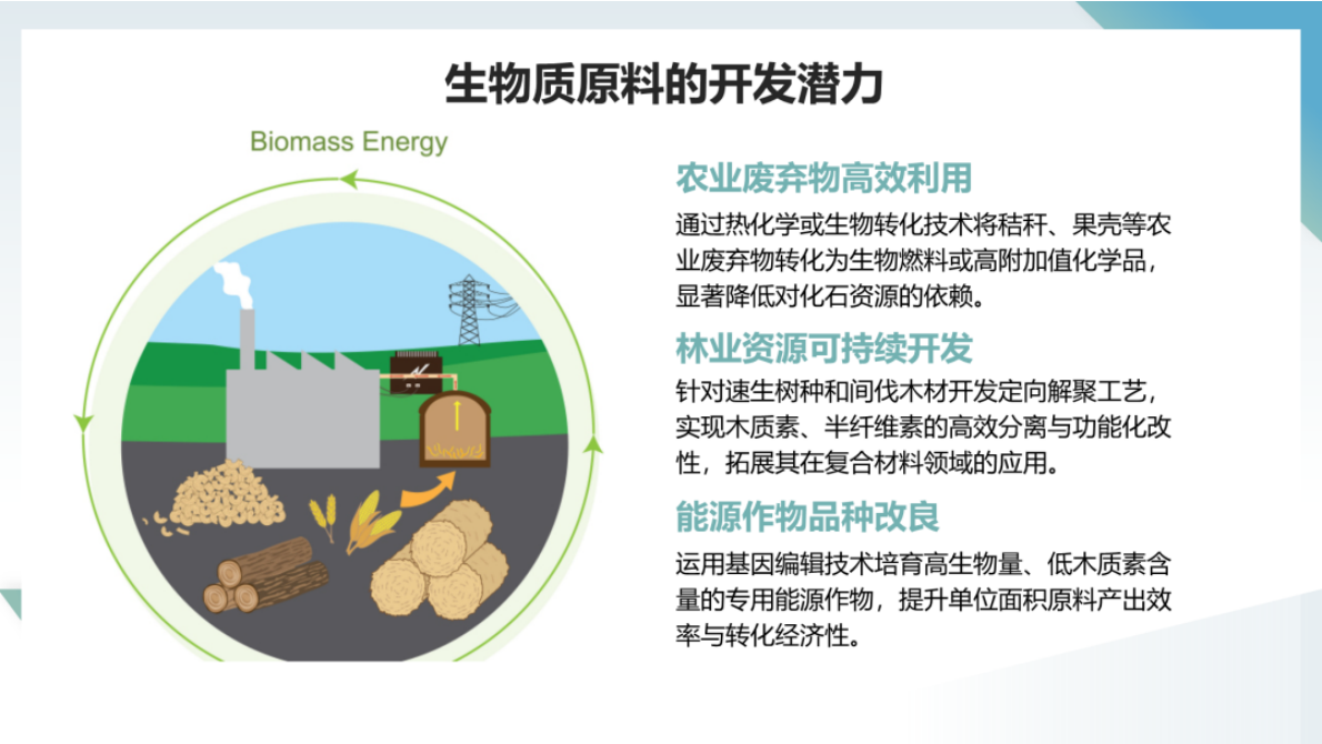 中国化工学会：未来可再生原料发展方向与技术研发策略 第8页