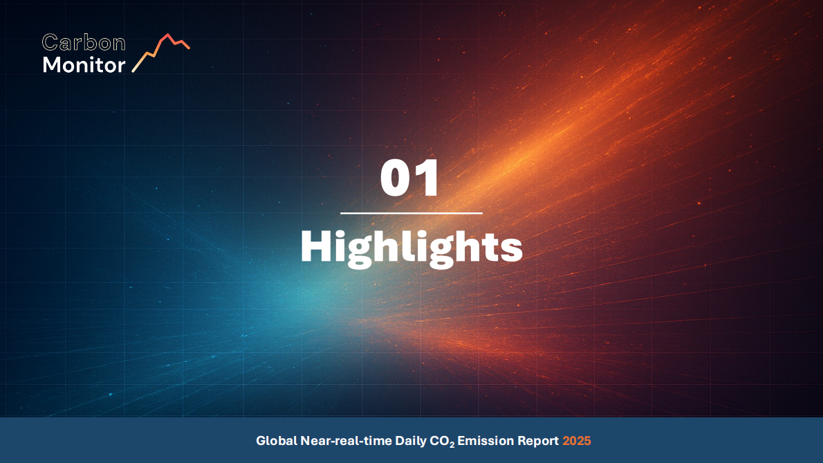 2025年全球近实时碳排放报告（英文版） 第5页