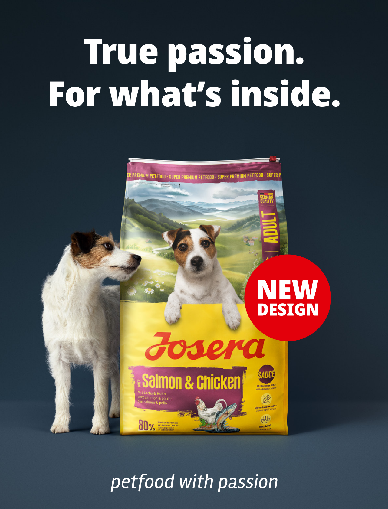 GlobalPETS：2025年全球宠物行业洞察报告（9月刊）（英文版） 第4页