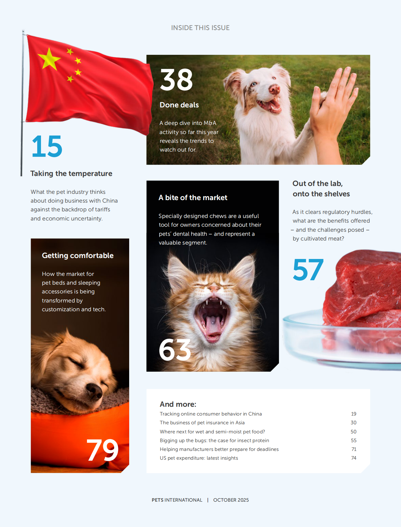 GlobalPETS：2025年全球宠物行业洞察报告（10月刊）（英文版） 第3页