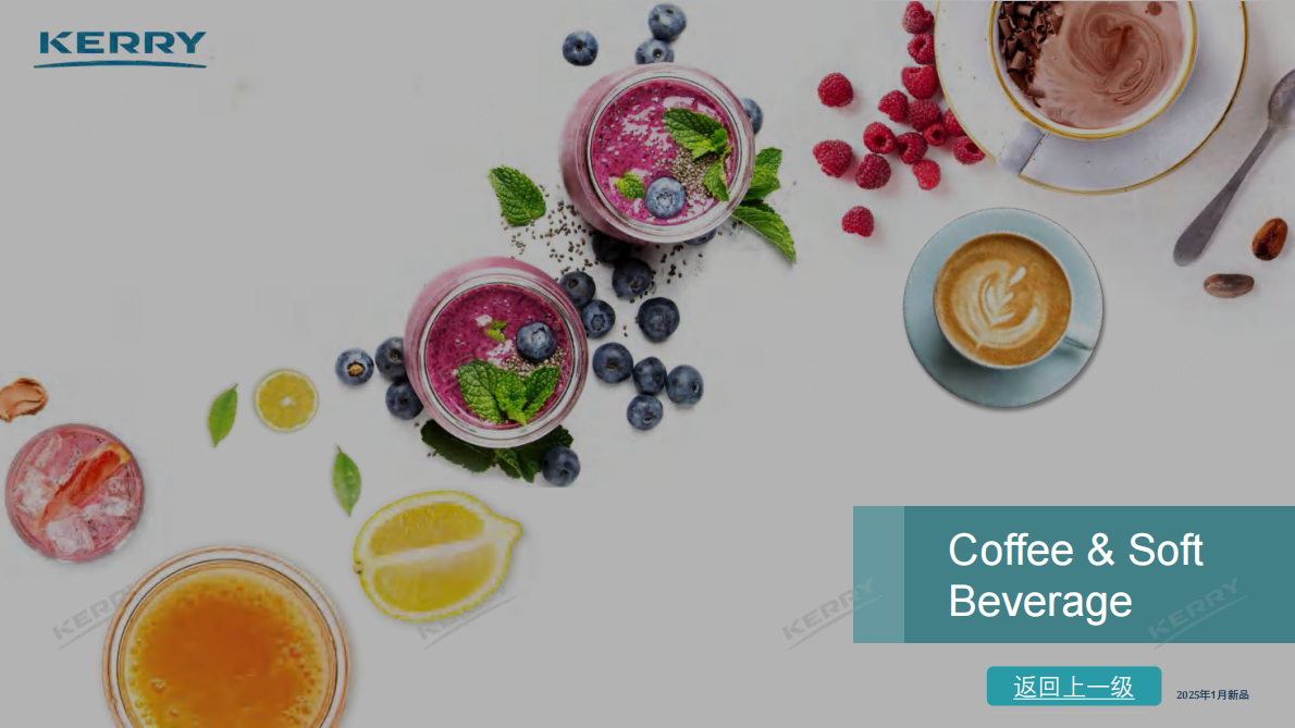 凯爱瑞：2025年餐饮新品情报合集 第8页