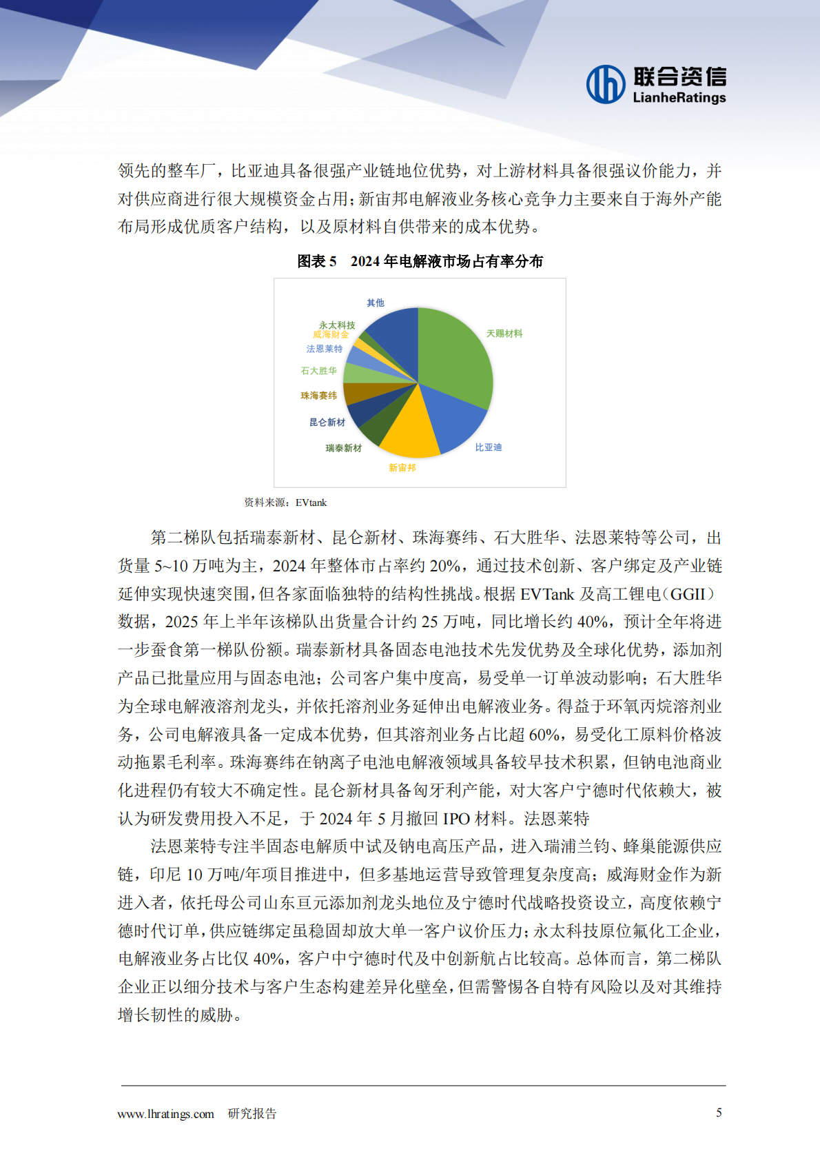 联合资信：电解液：&ldquo;一超两强&rdquo;格局的稳固与挑战 第5页