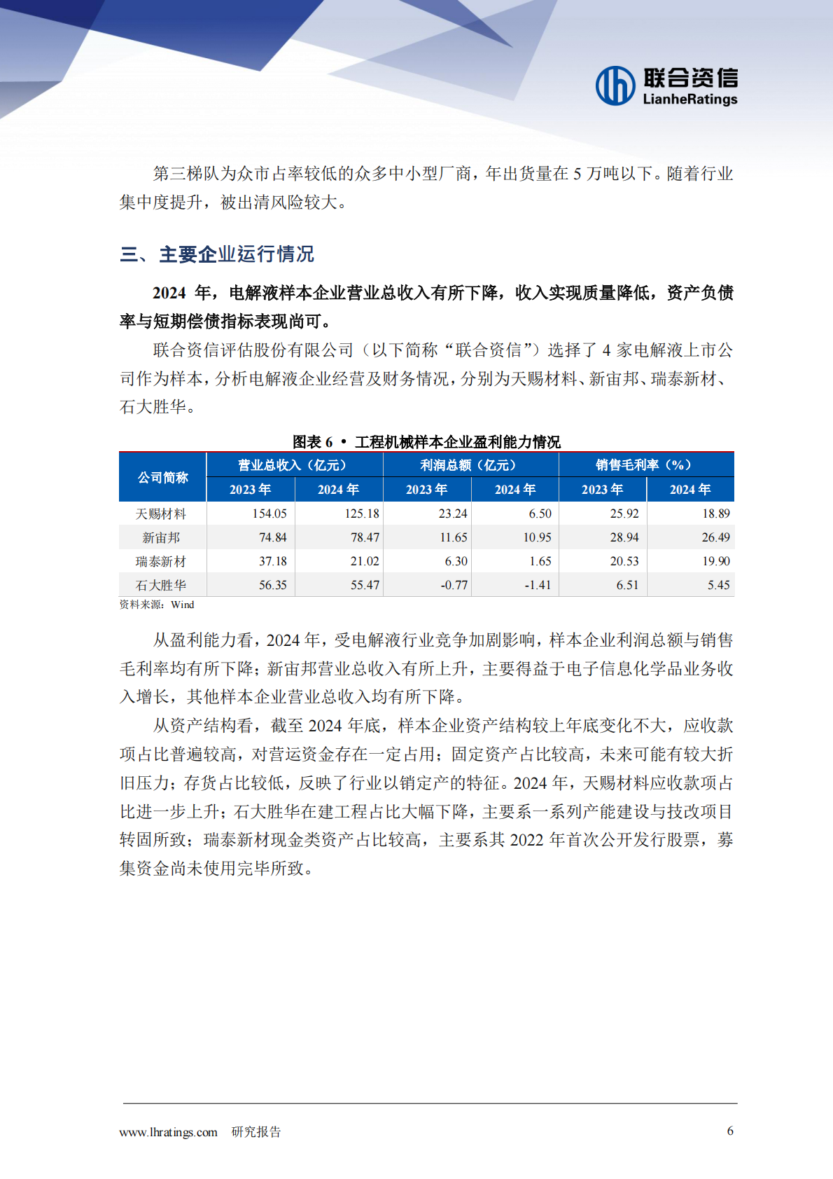 联合资信：电解液：&ldquo;一超两强&rdquo;格局的稳固与挑战 第6页