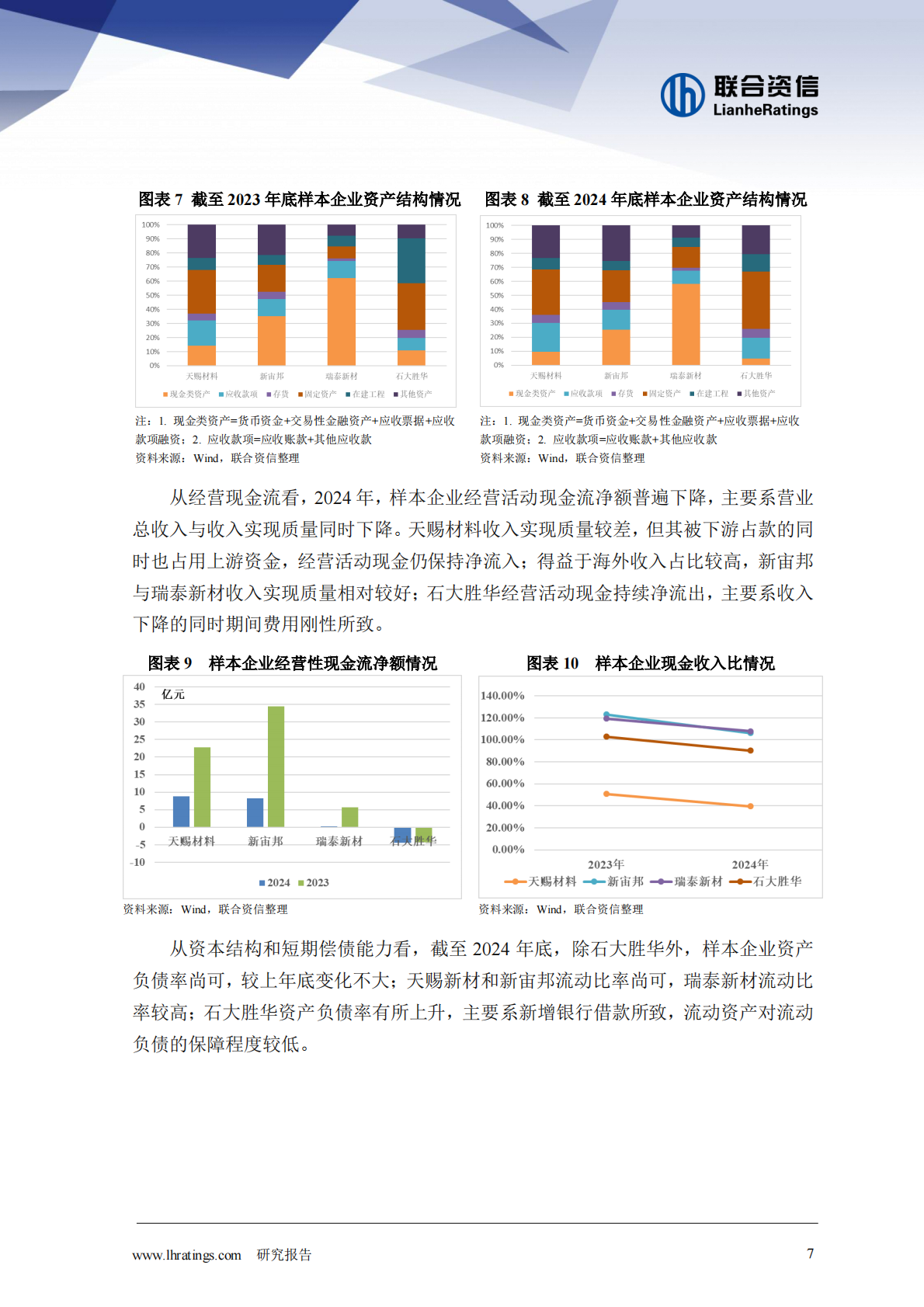 联合资信：电解液：&ldquo;一超两强&rdquo;格局的稳固与挑战 第7页