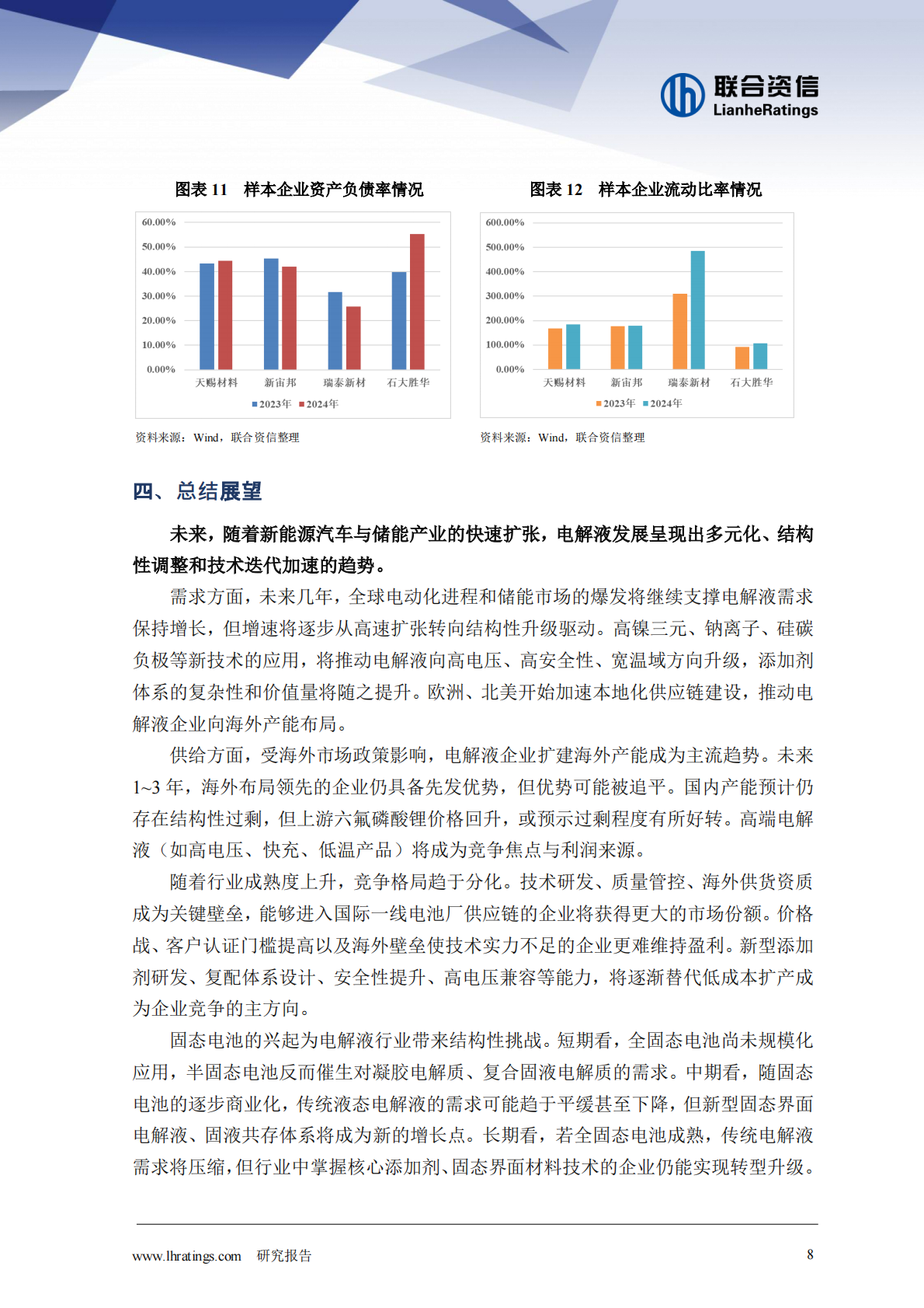 联合资信：电解液：&ldquo;一超两强&rdquo;格局的稳固与挑战 第8页