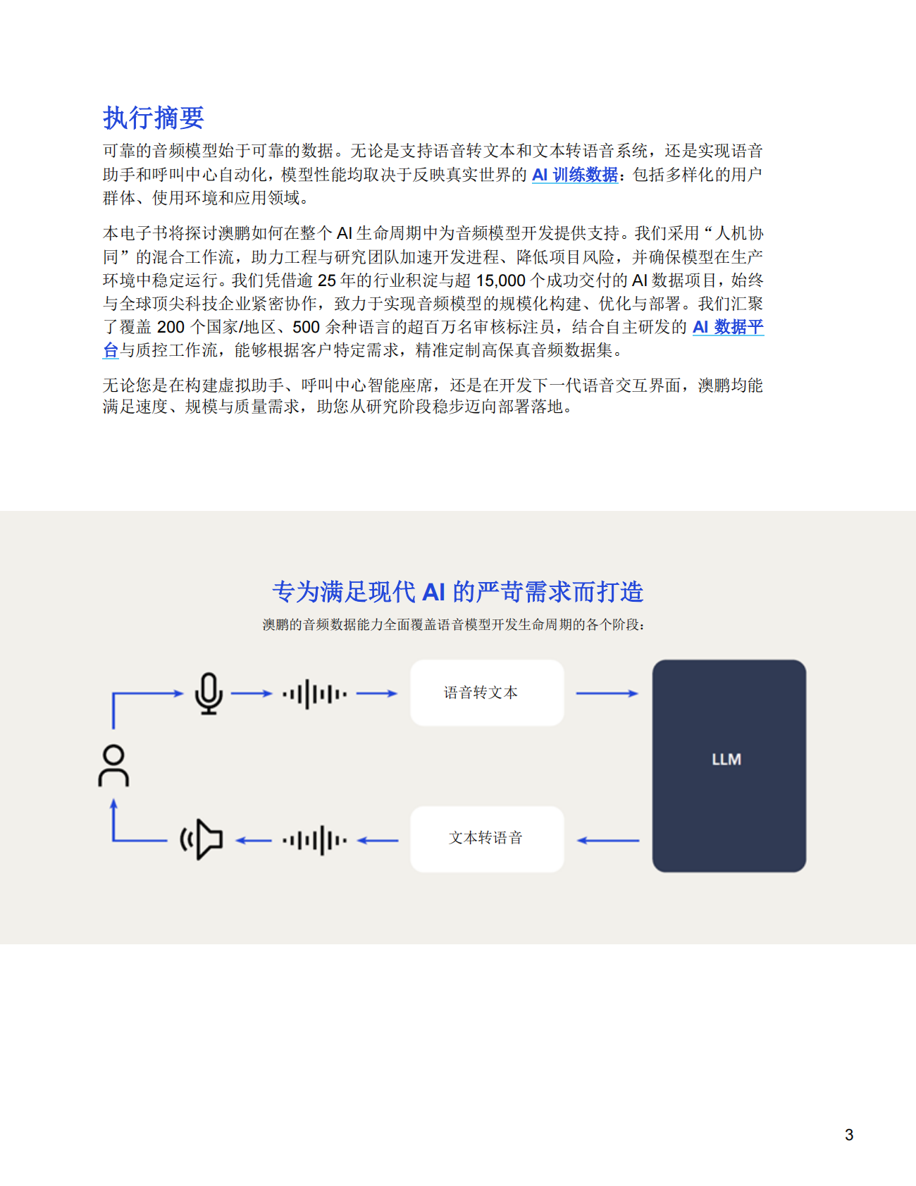 音频数据解决方案&mdash;从采集到部署： 端到端AI音频数据解决方案 第3页